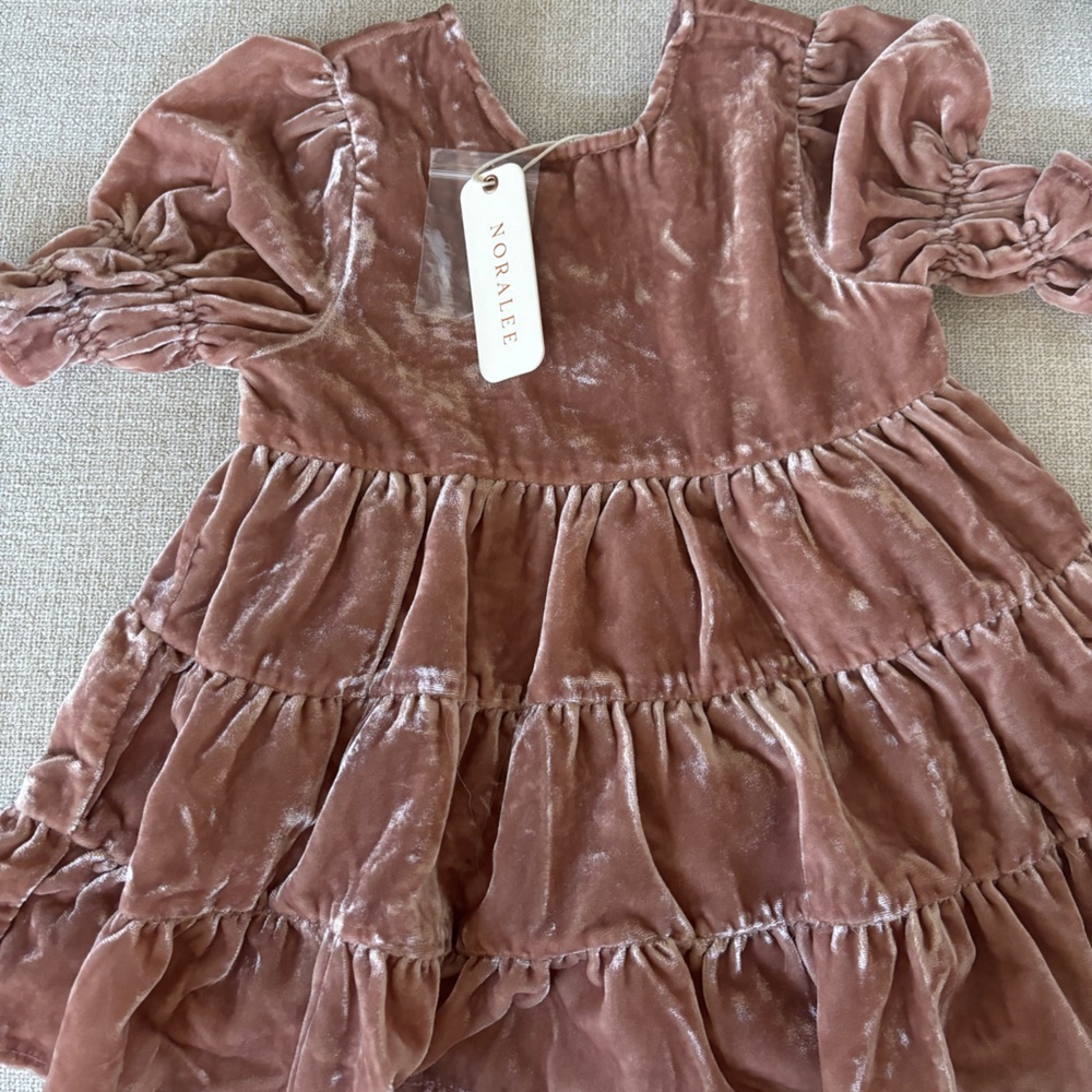 Noralee velvet dress